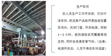 广东星普大功率无极紫外灯 皮革厂杀菌除臭的得力助手